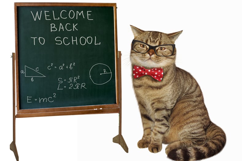 How a TMS Can Benefit Every Team in Your Business Part 1