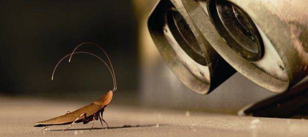 The only nice looking cockroach we could find, from Pixar's WALL-E.