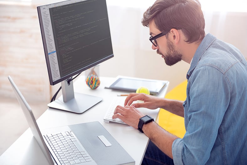 Interns at Work Jacek Budzynski Development Team
